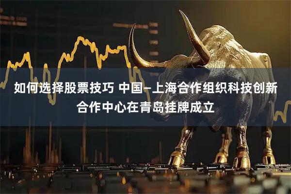 如何选择股票技巧 中国—上海合作组织科技创新合作中心在青岛挂牌成立