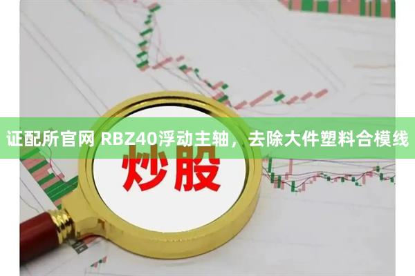 证配所官网 RBZ40浮动主轴，去除大件塑料合模线